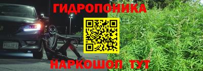ПСИЛОЦИБИНОВЫЕ ГРИБЫ Бузулук