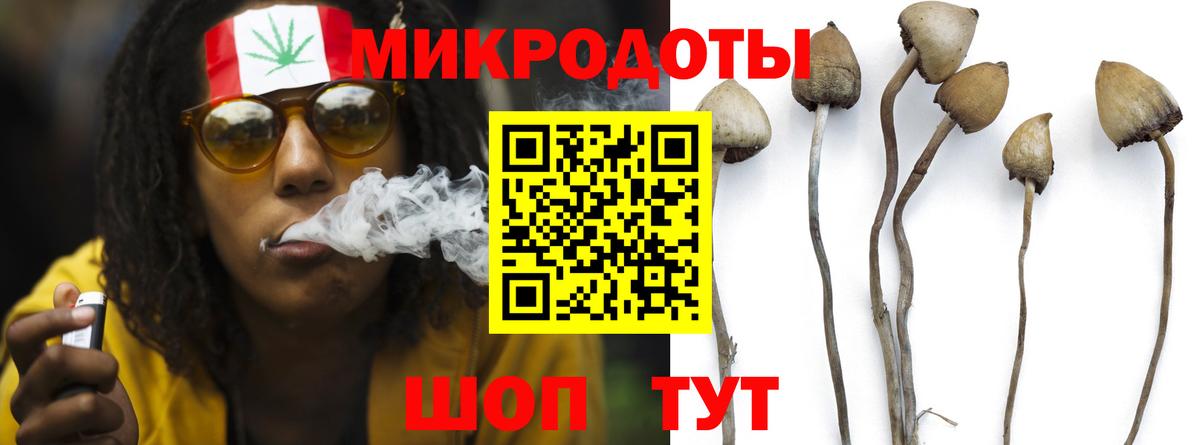 Донецк  Галлюциногенные грибы прущие грибы  Вход с VPN  Галлюциногенные грибы мухоморы 